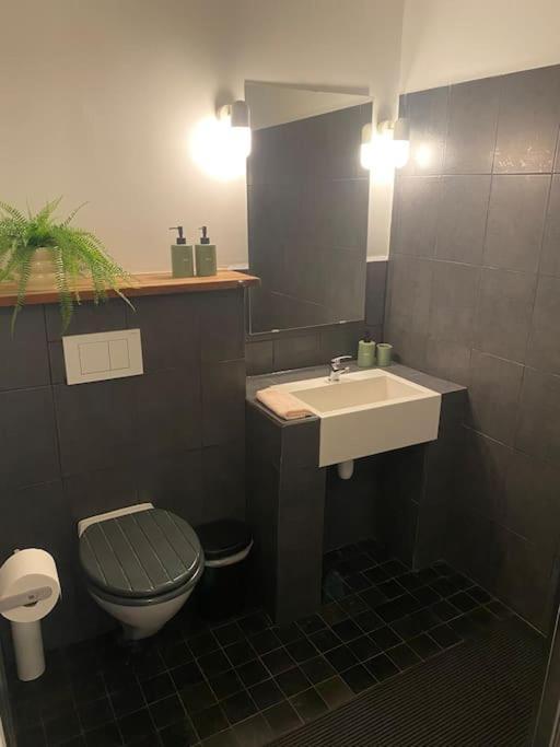 Studio Richard Apartment Antwerpen Ngoại thất bức ảnh